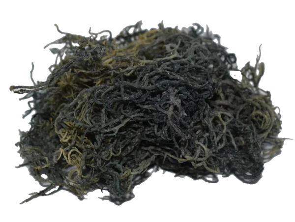 Premium Green Wildcrafted Raw Sun dried Sea Moss