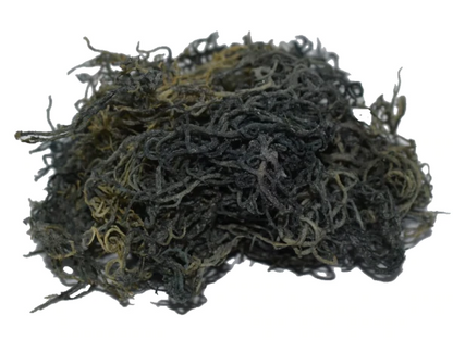 Premium Green Wildcrafted Raw Sun dried Sea Moss